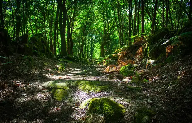 El refugio secreto