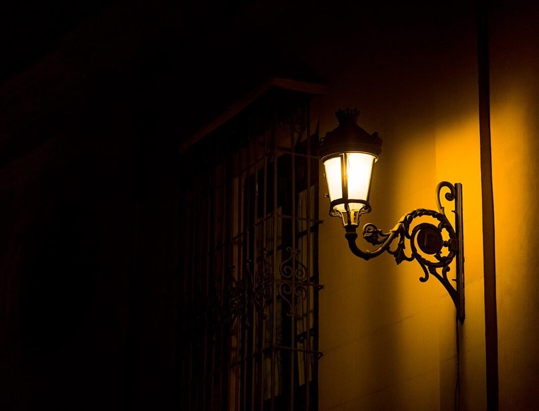 LA SOMBRA QUE ELEGÍ 