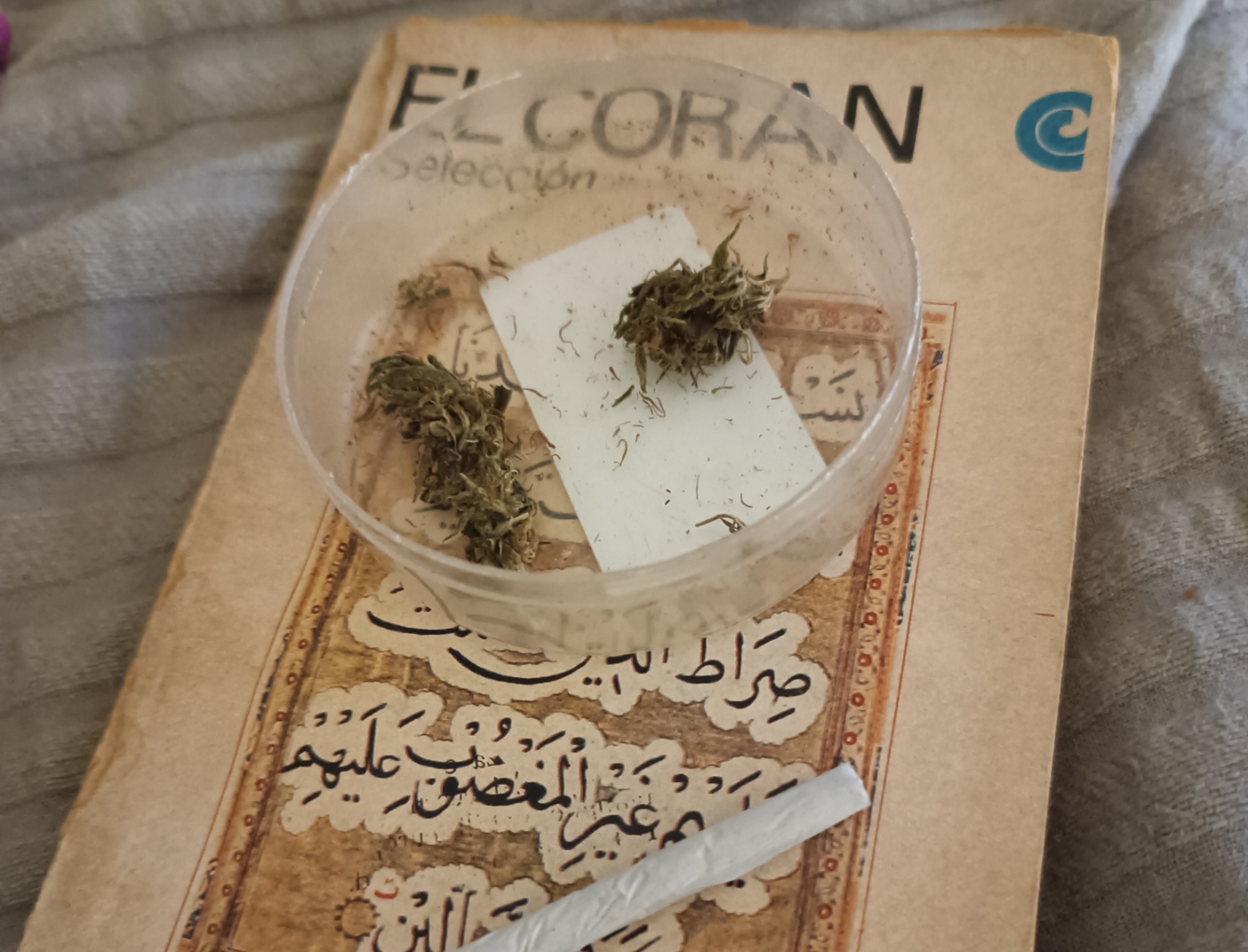 estoy para el orrrrrrrrrto