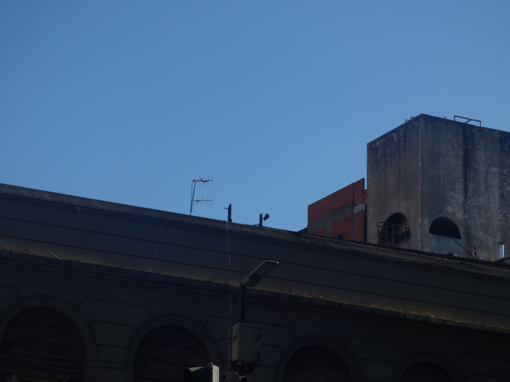 SENTÍ UN POCO MÁSSSSSSS