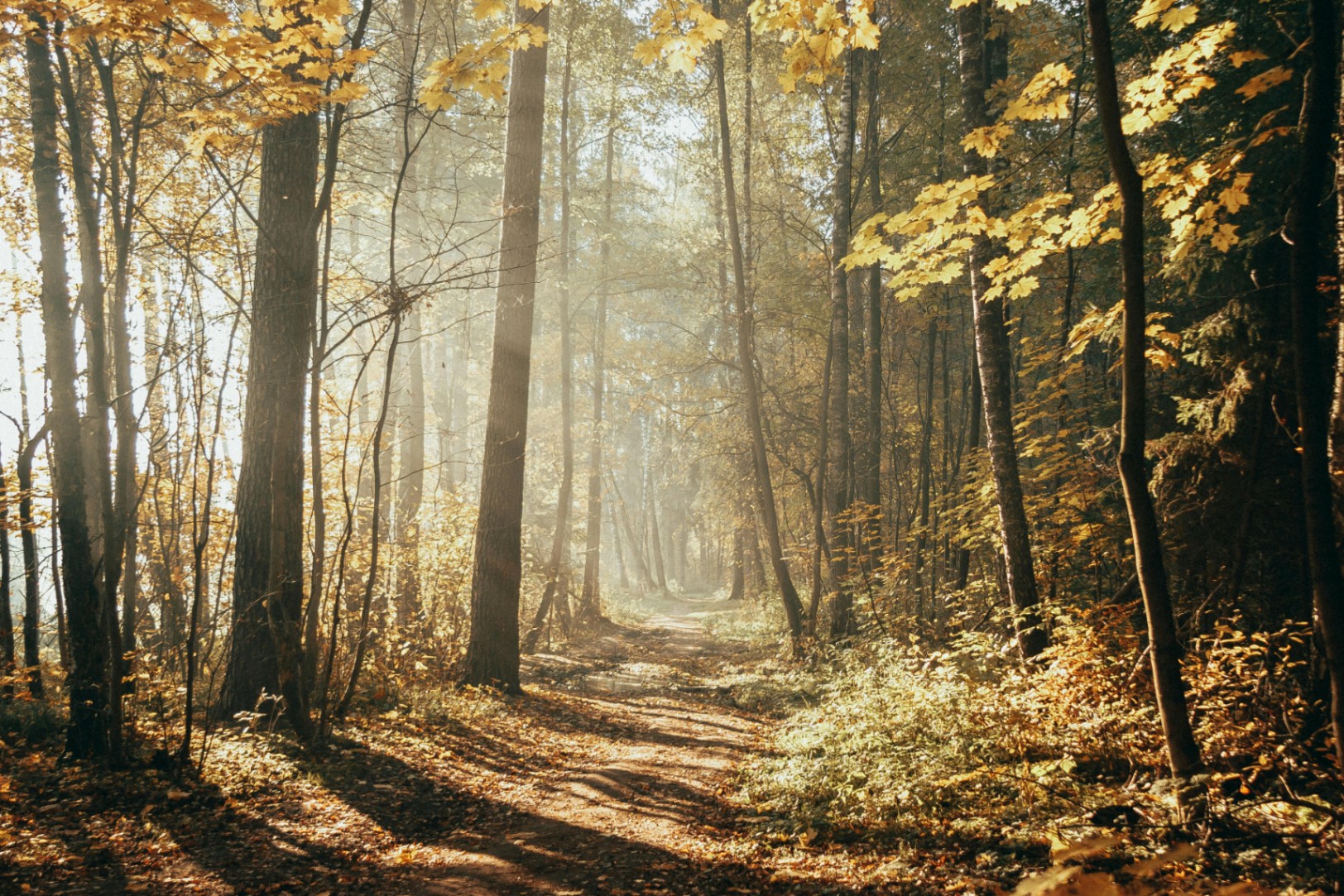 Valeria Tuma cover img