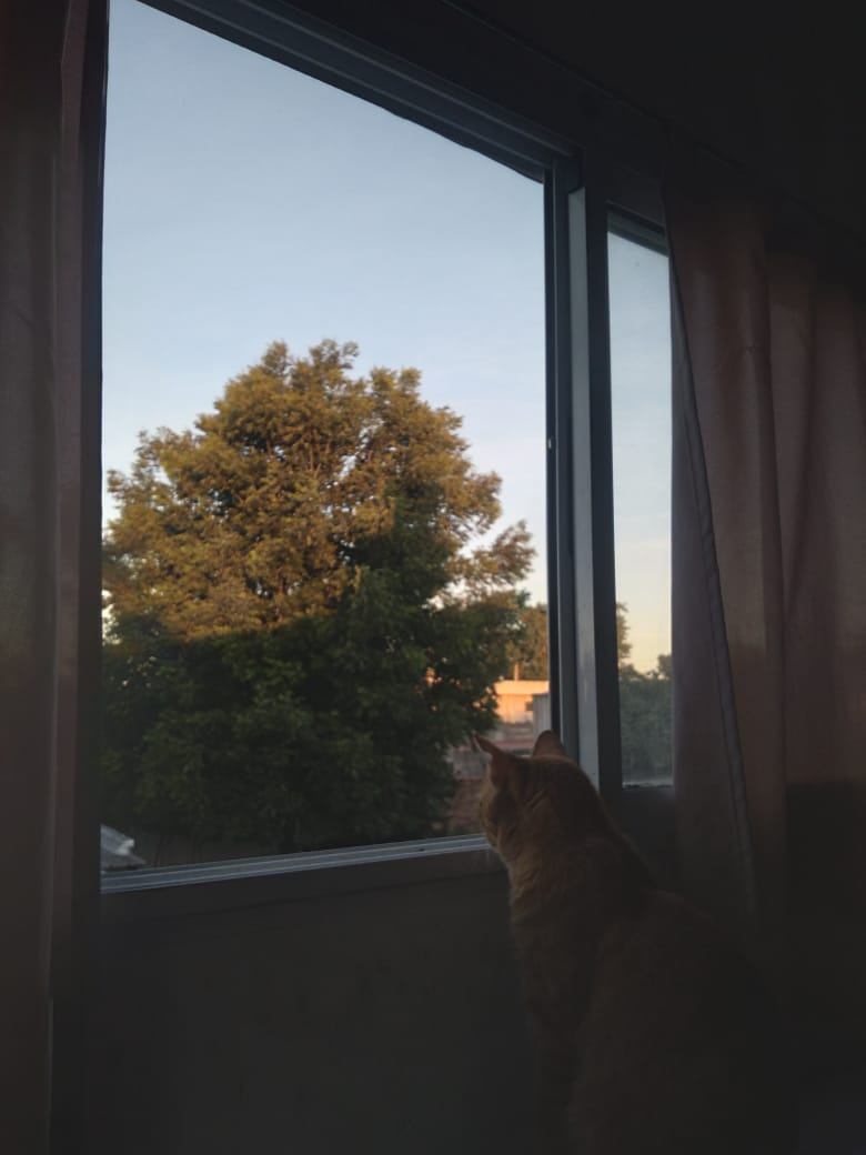 Miramos este cielo azul