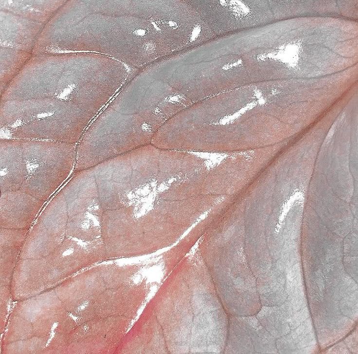 Un rechazo plástico