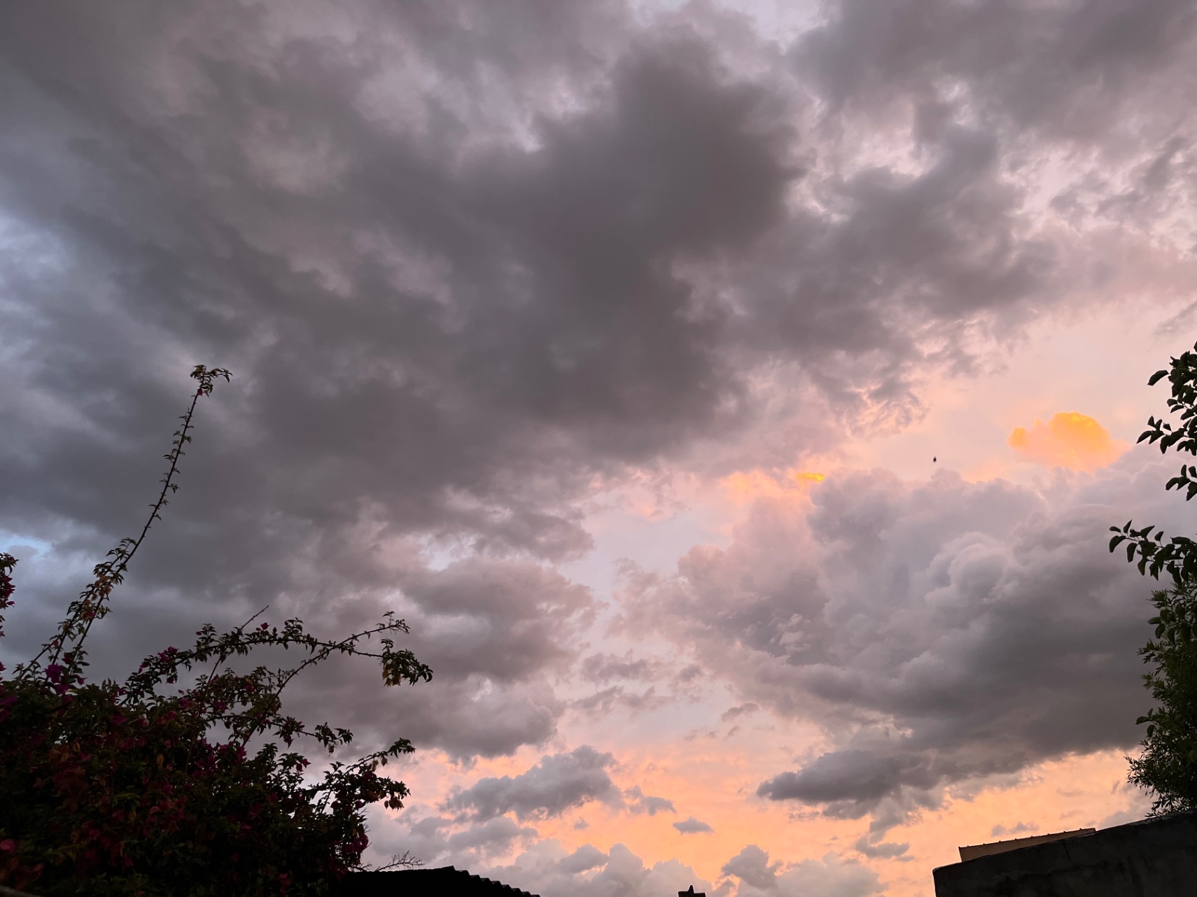 Cielo