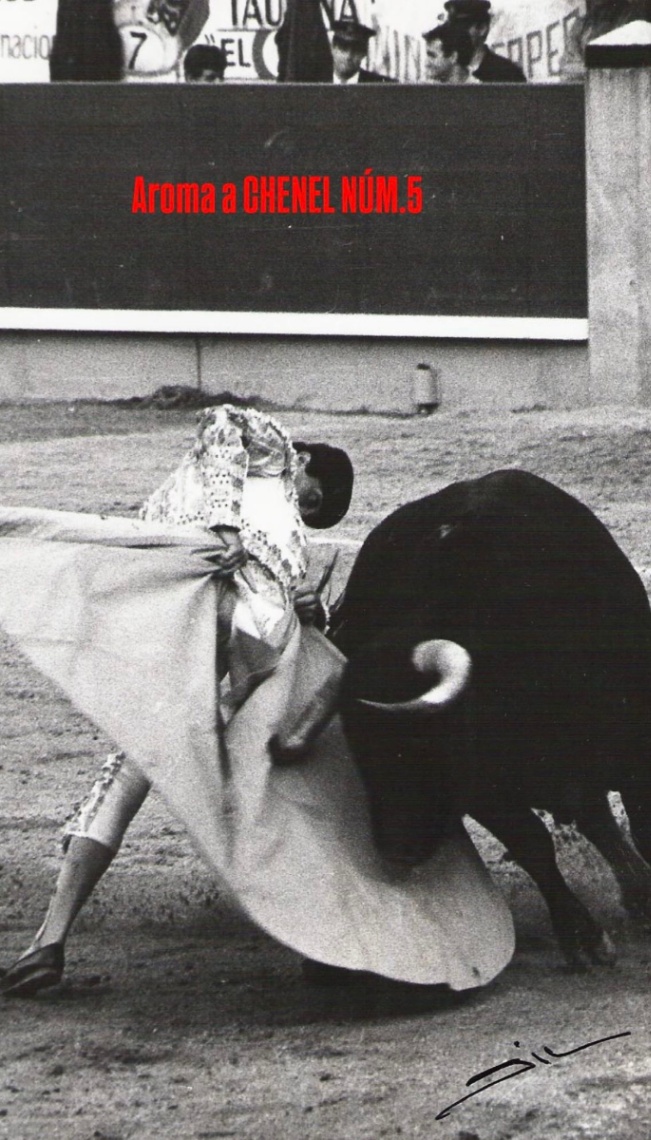 El día que descubrí que los toros no son sólo toros.