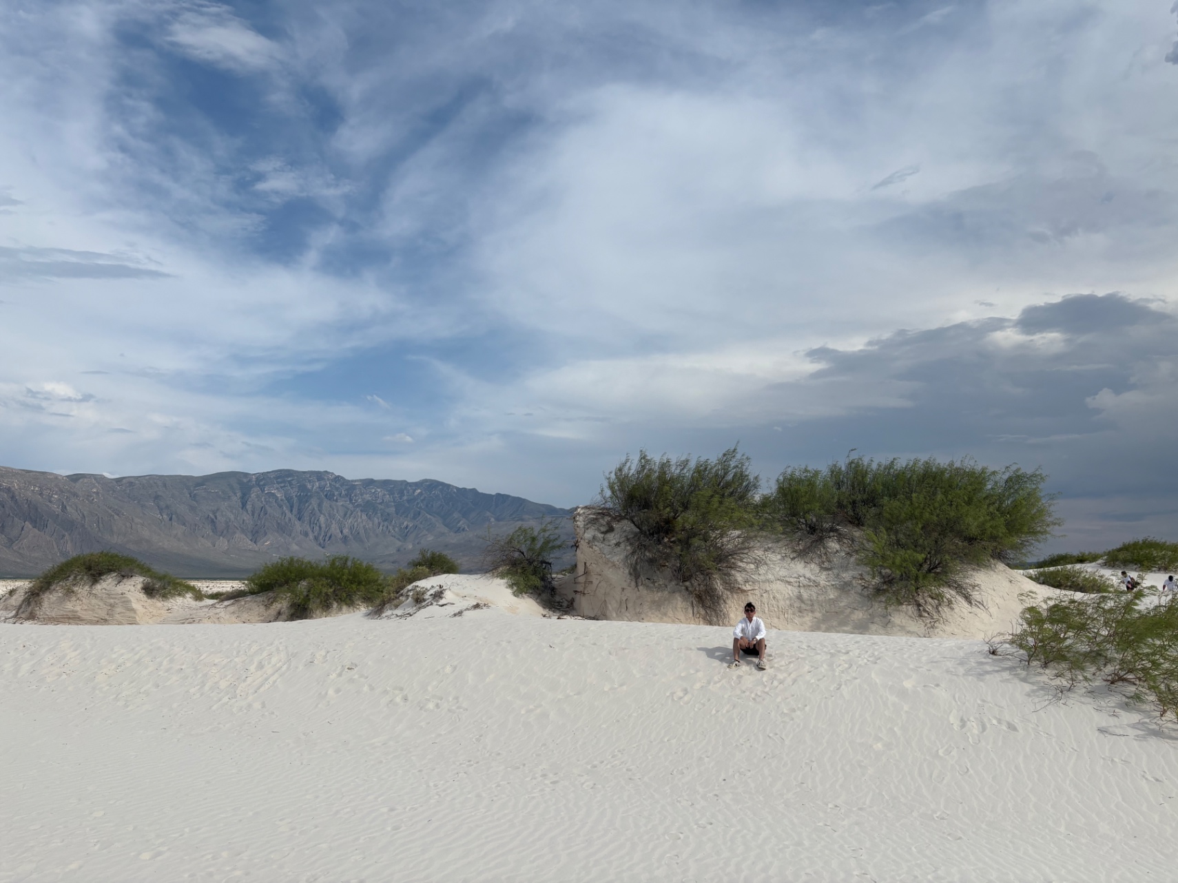 Diego Rivera cover img