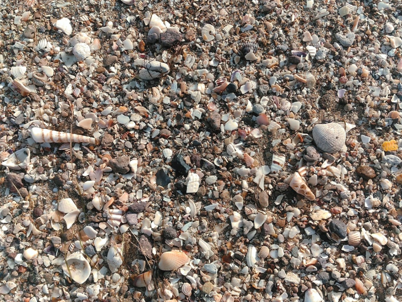 Karina Patzaly cover img