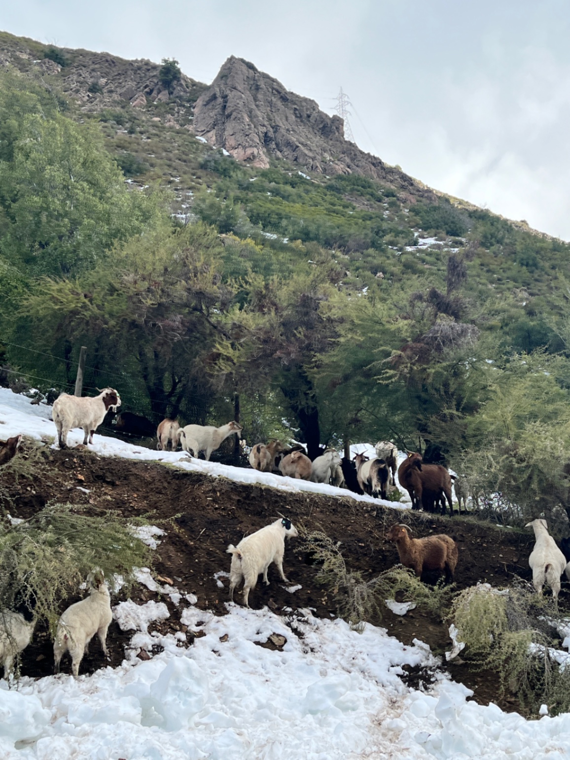 María Ignacia Ponce  cover img