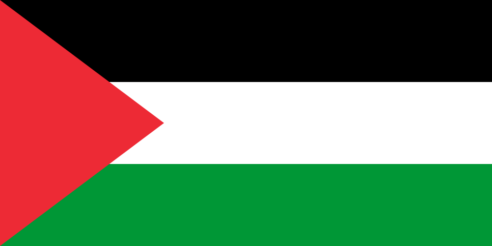 Palestina y el fracaso estructural de los derechos humanos: una lectura desde Houria Bouteldja