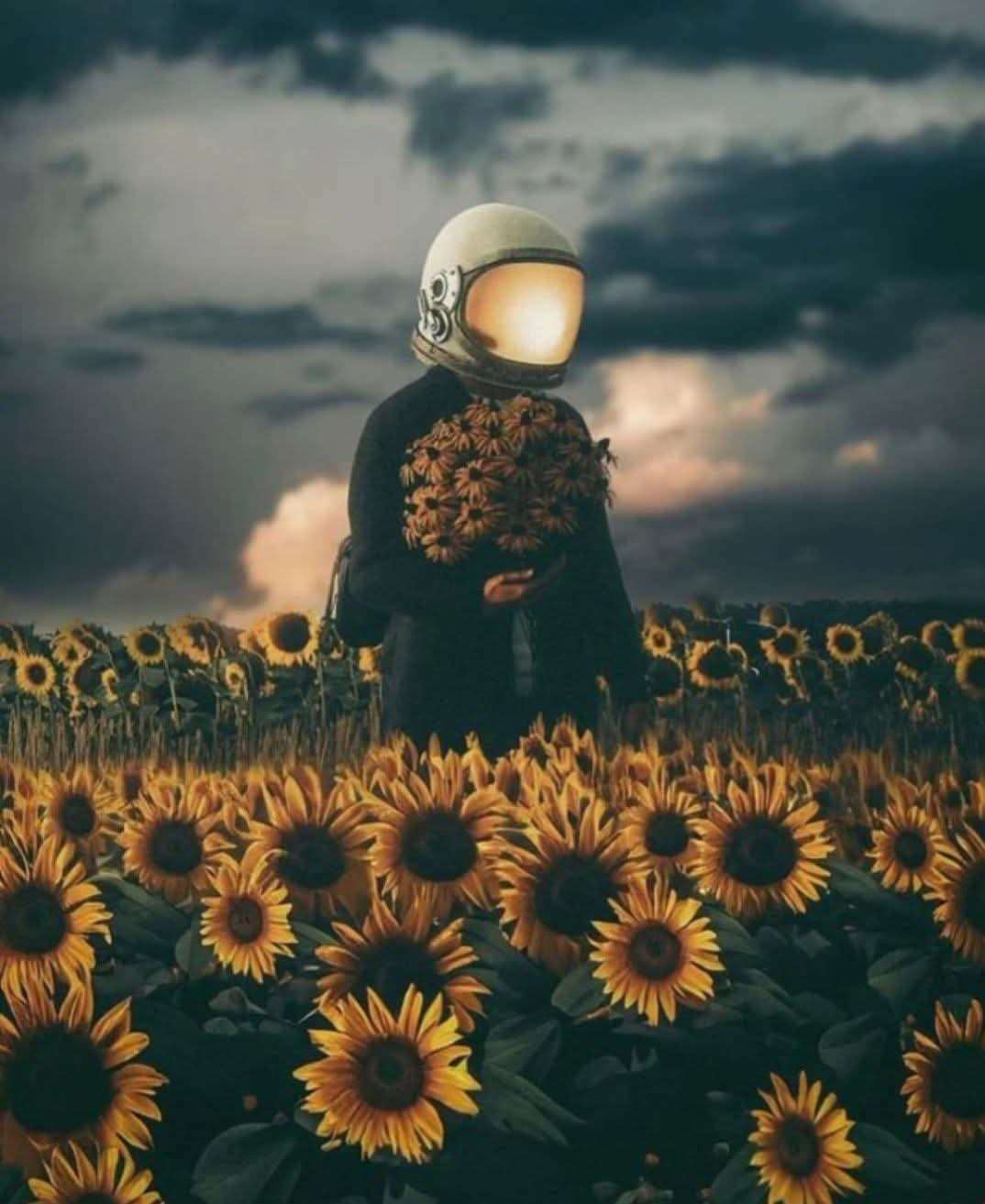 Sueño de tu piel