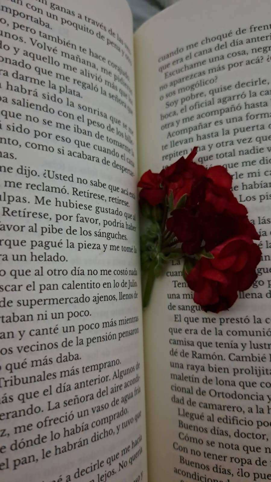 Instrucciones Para Regalar Flores