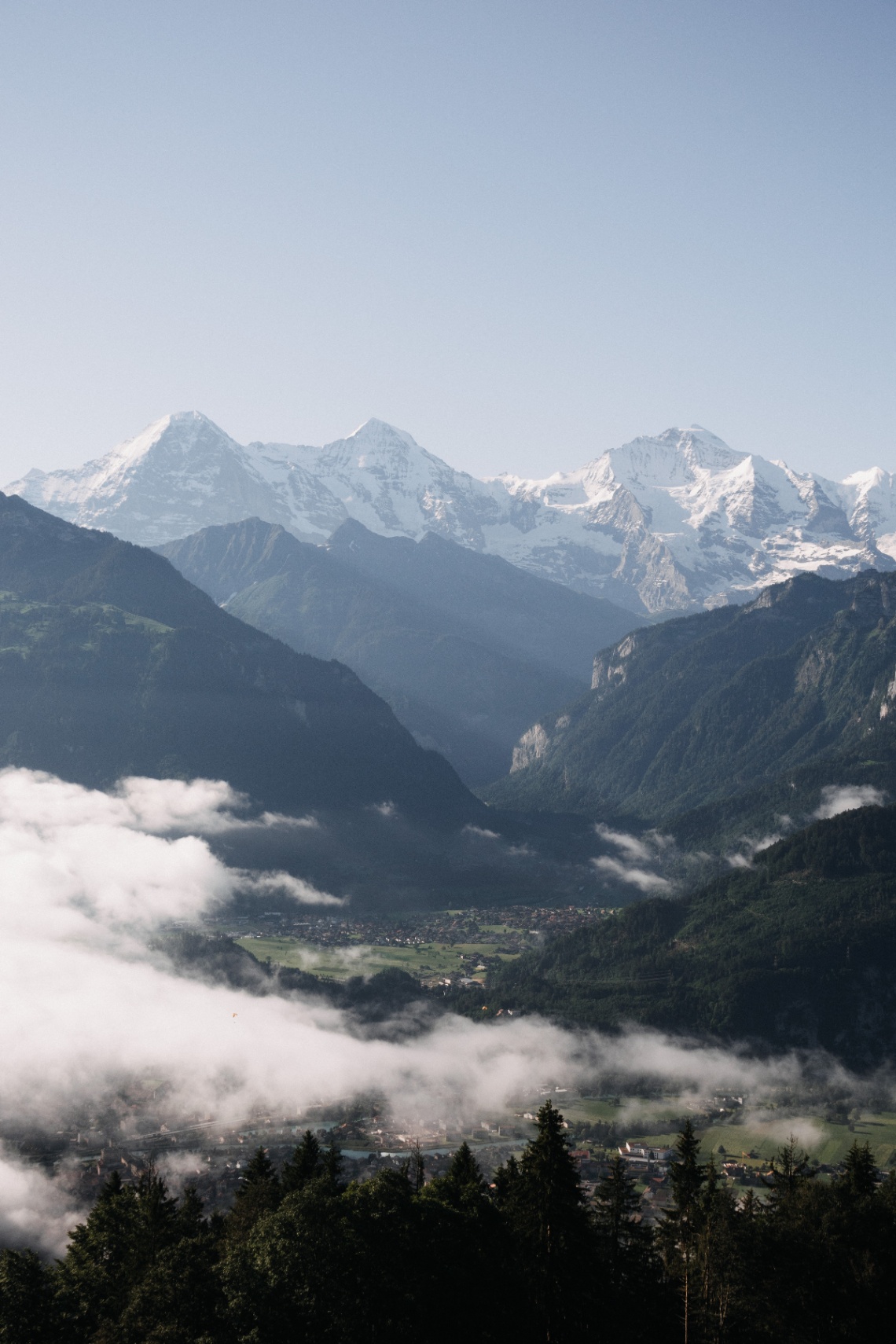 Ciruela Viajes cover img