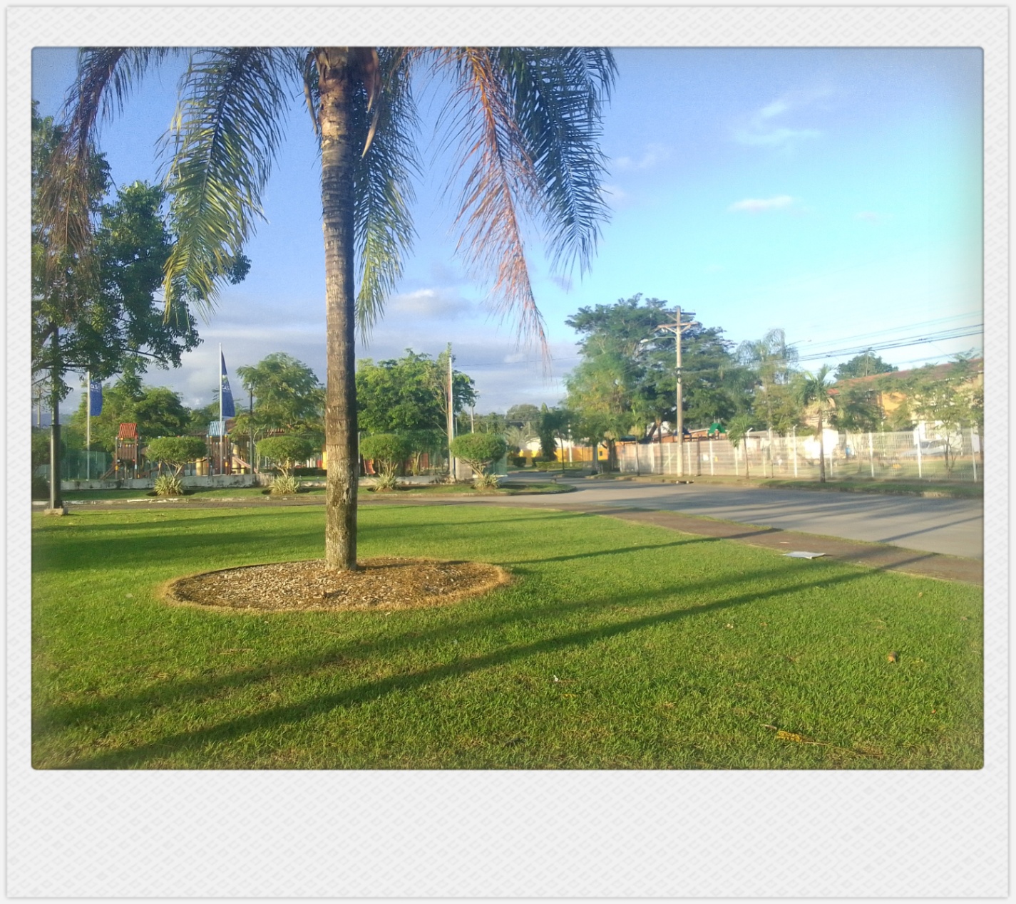 volviste con la brisa de un invierno viejo, justo cuando el alma me aprendía a florecer sin ti