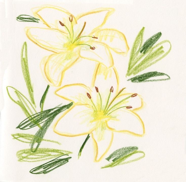 florece mi flor 
