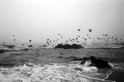 Solo se escuchan las olas