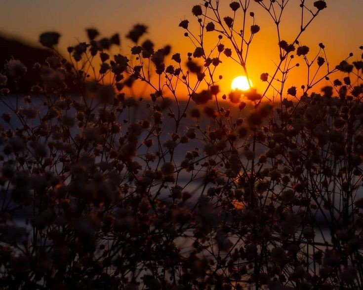Ocaso