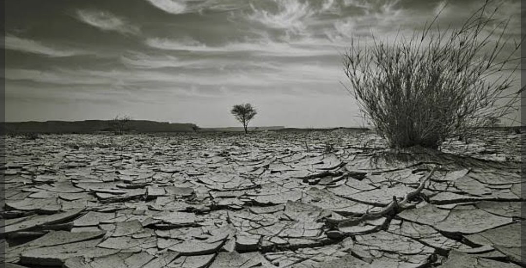 Desierto 