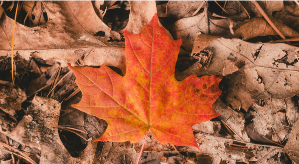 Otoño