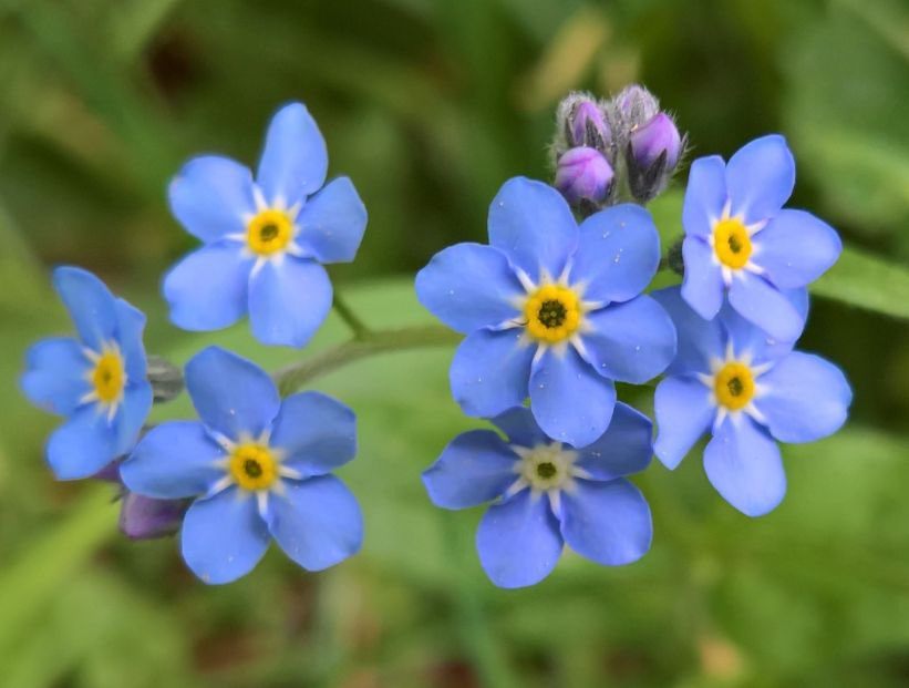 Junio Del 25 Quaderno