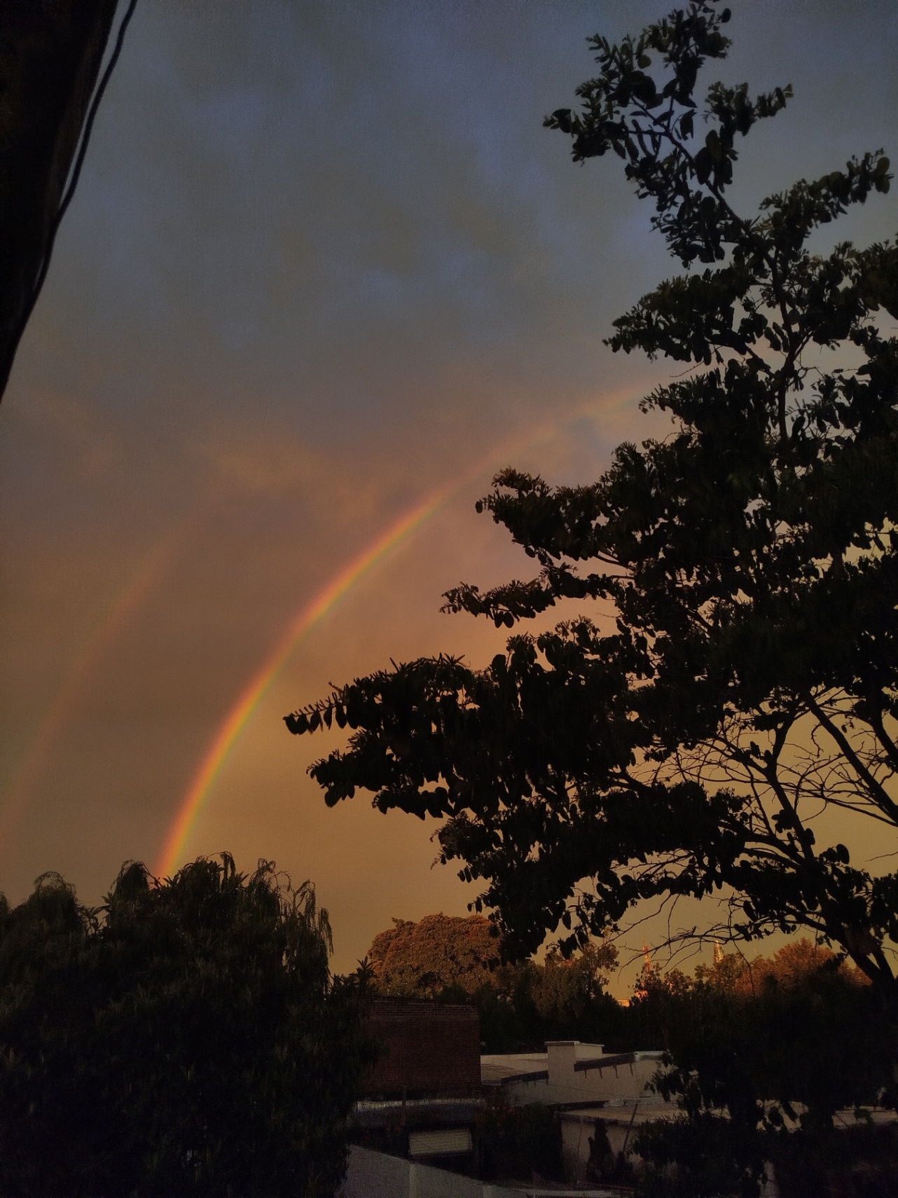 Soledad Lemes cover img