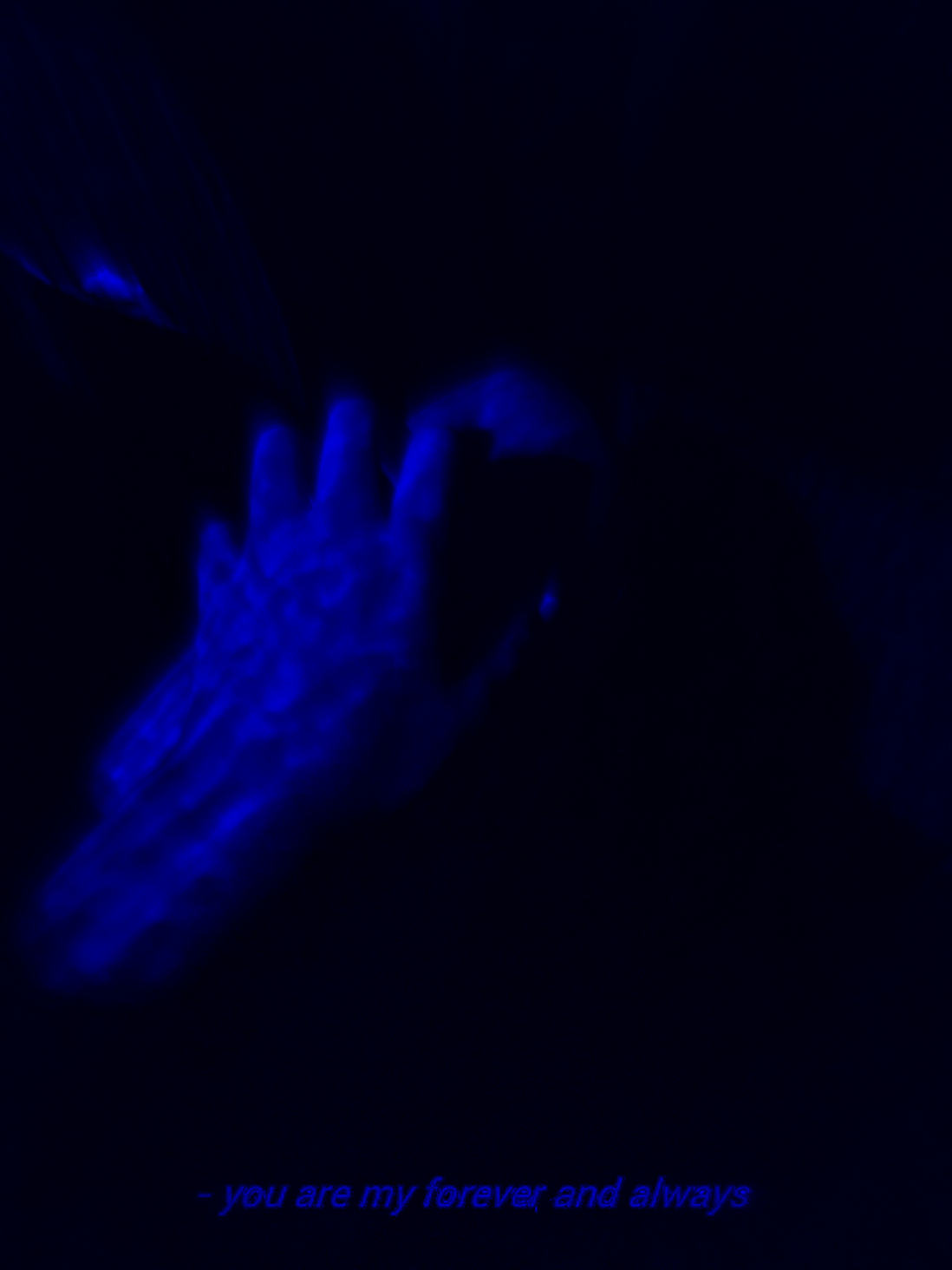 Valentina Fernández cover img