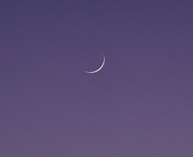 La poesía no te pertenece 