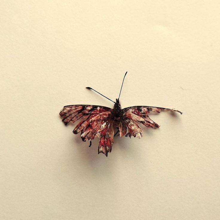 ESTUDIOS SOBRE LA TRANSGRESIÓN Y EL HASTÍO.