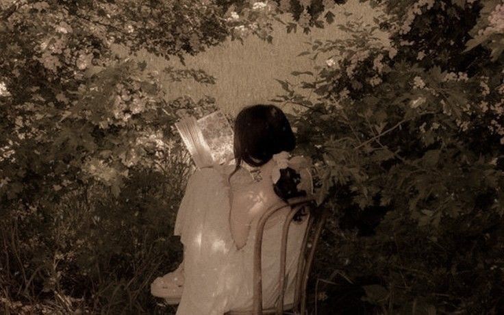 (de)lirio y otras flores.