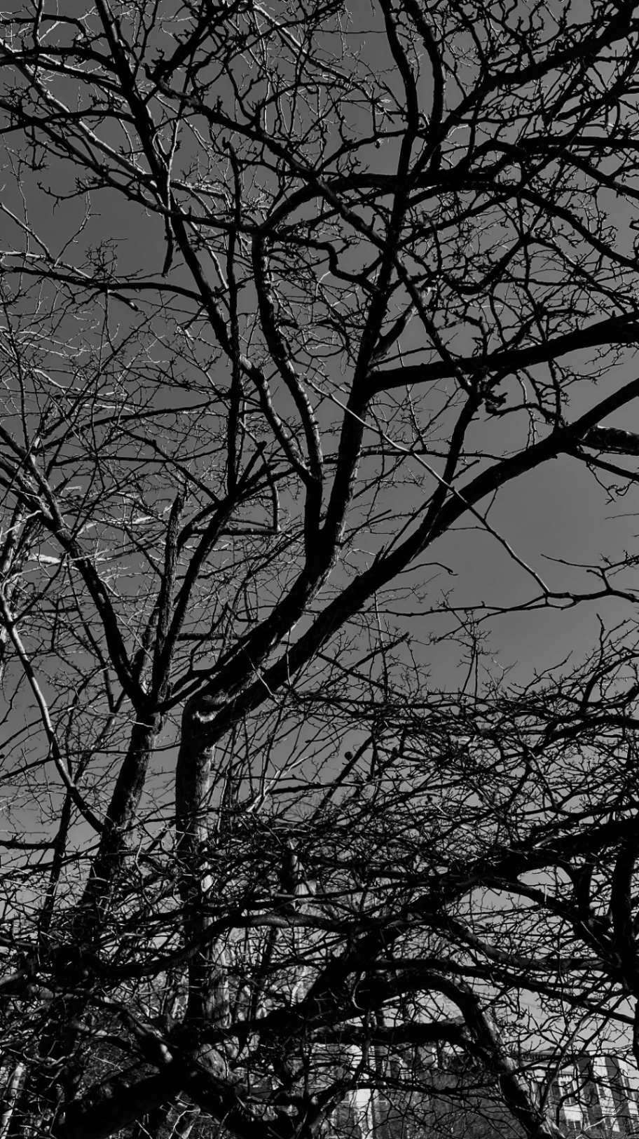 Solo contigo me tengo.