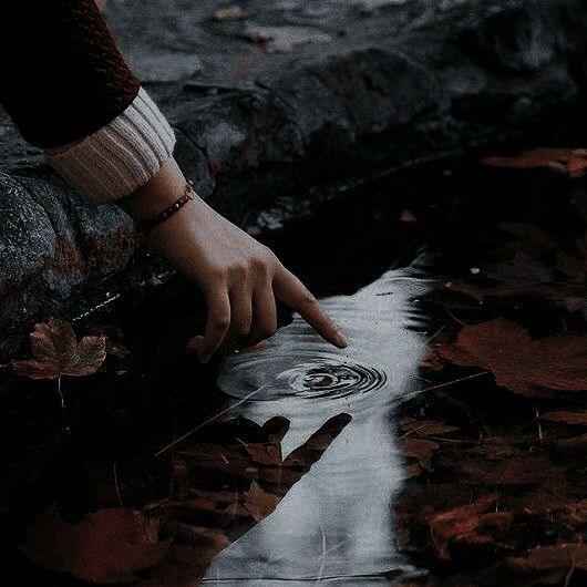 Evanescencia - Milagros Gomez