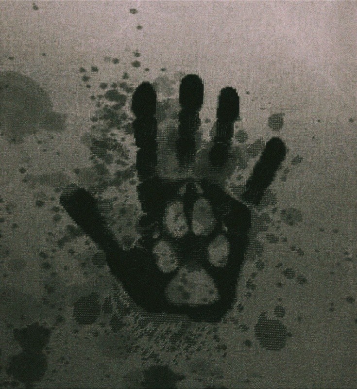 El descanso de los fríos