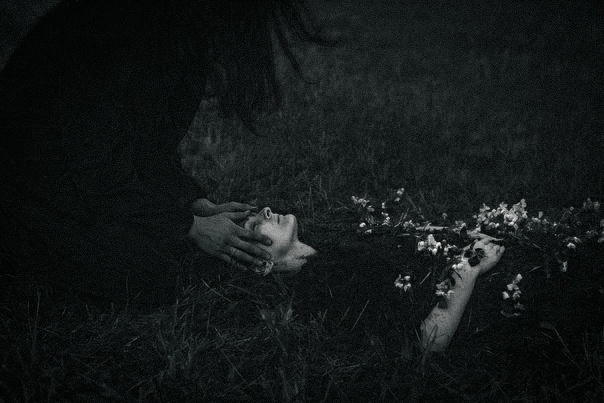 Vivo para contarlo 🌙