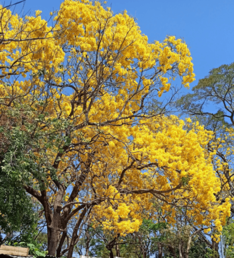 El retorno de marzo.