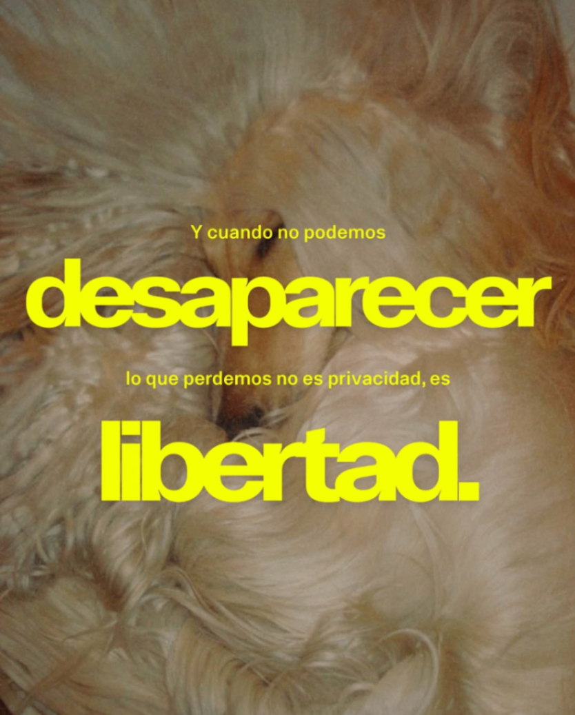 Desaparecer para existir -- <P17:1027/01/2026>