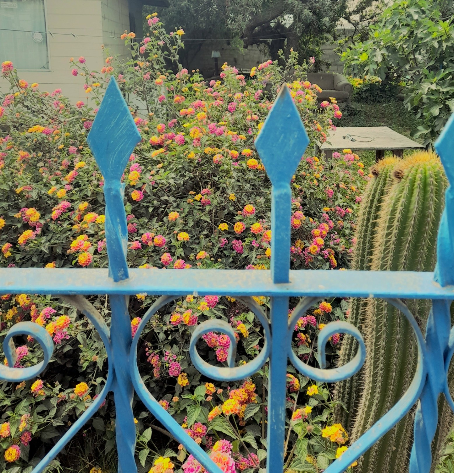 la libertad de ser esclavo de lo que te da paz