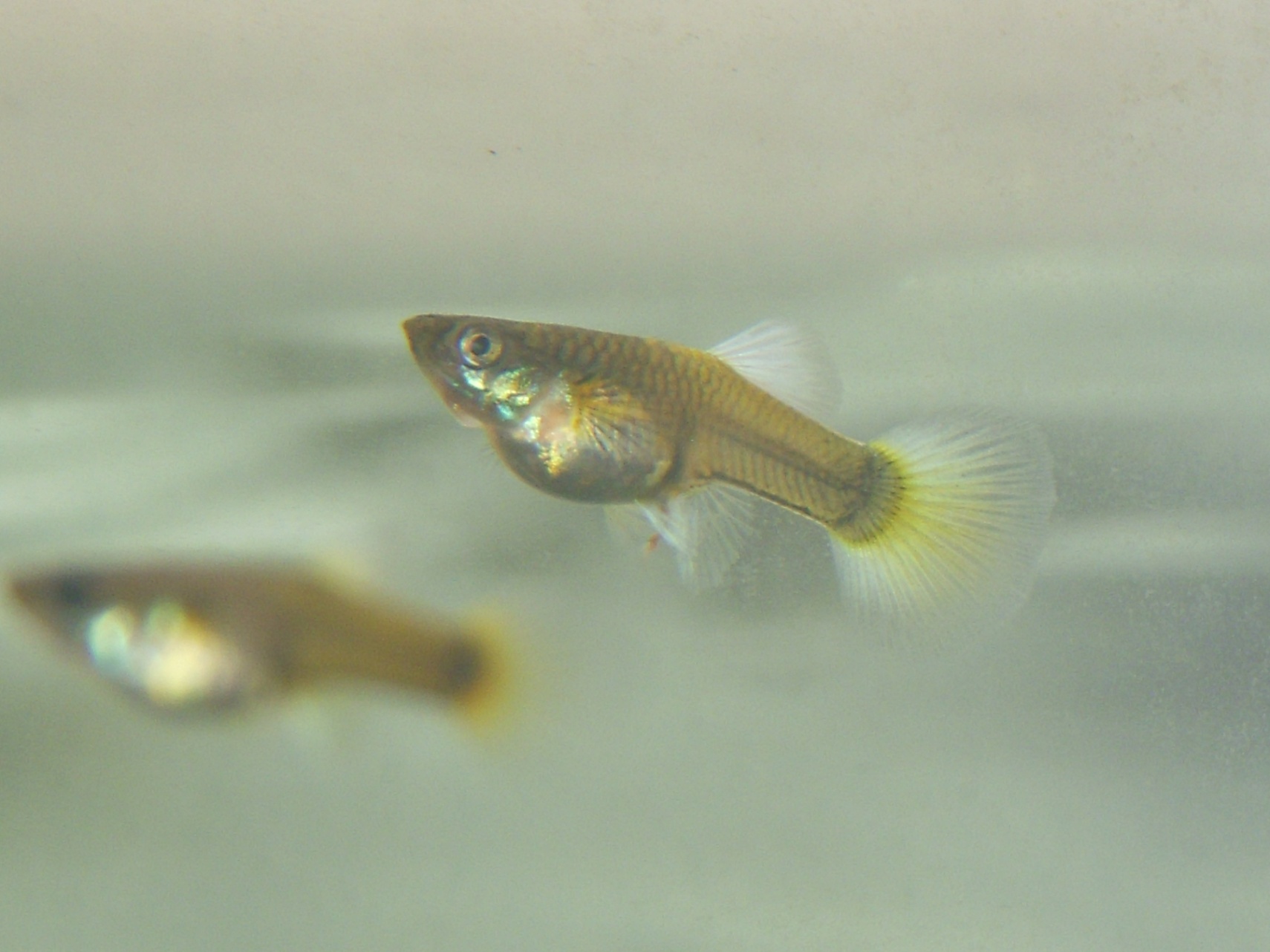 los ojos ajenos y la mirada del alma hacia uno mismo