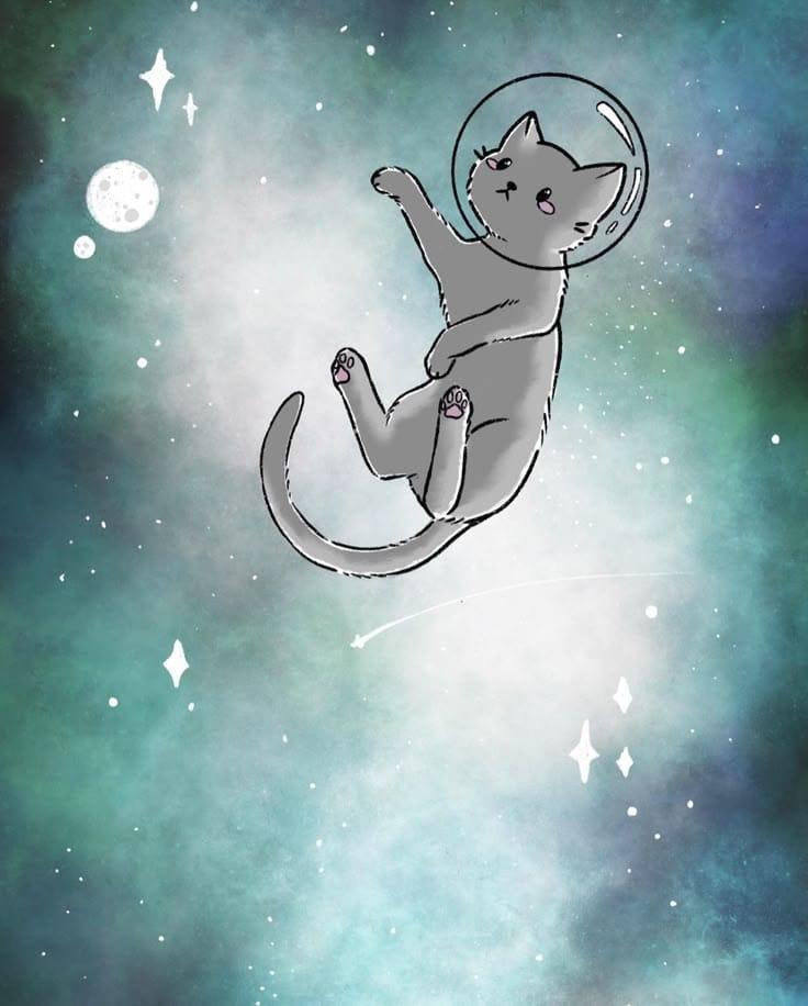 Gato espacial?