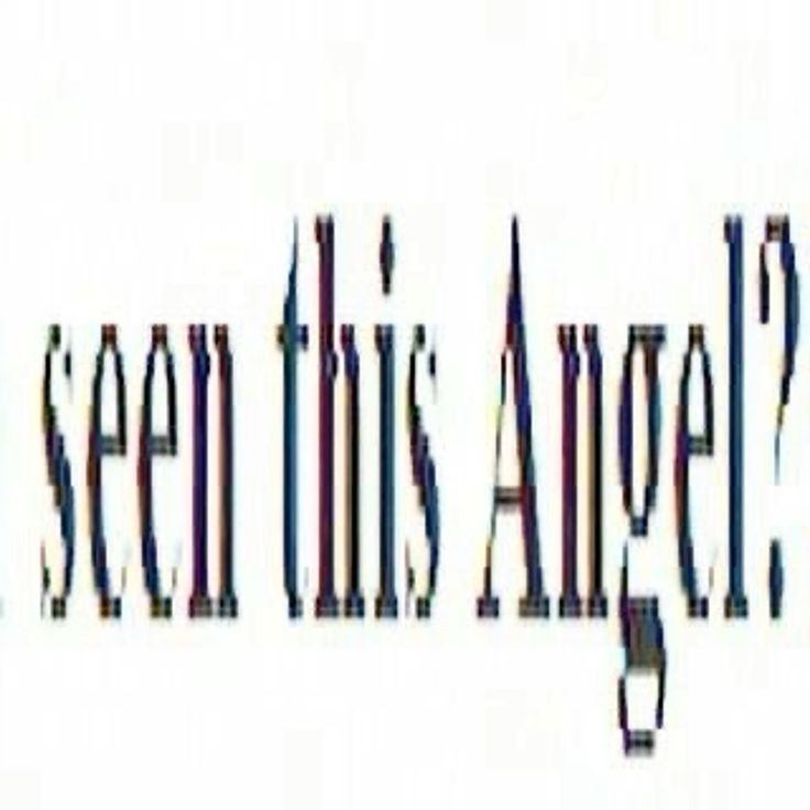 ( ꈍᴗꈍ) cover img