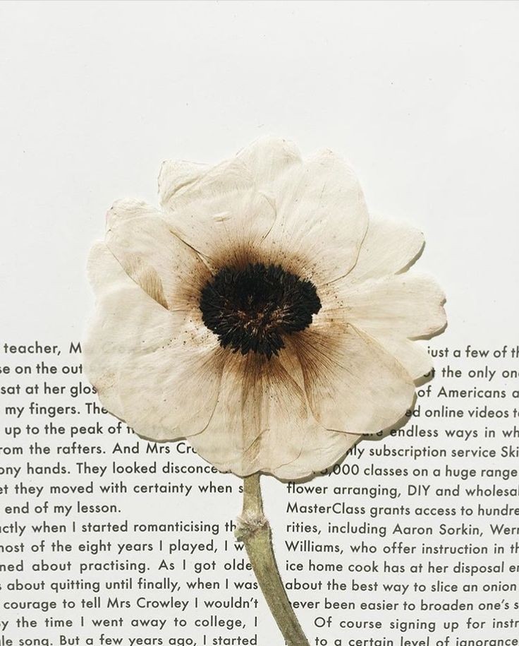 Jennifer leon cover img