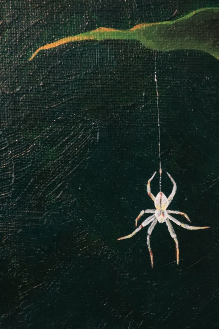 Araña