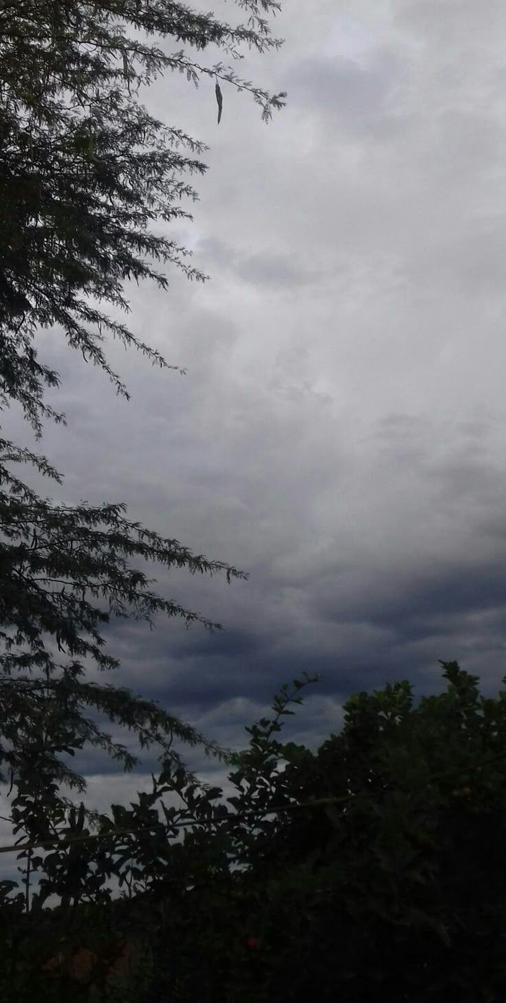 Cielo nubloso 