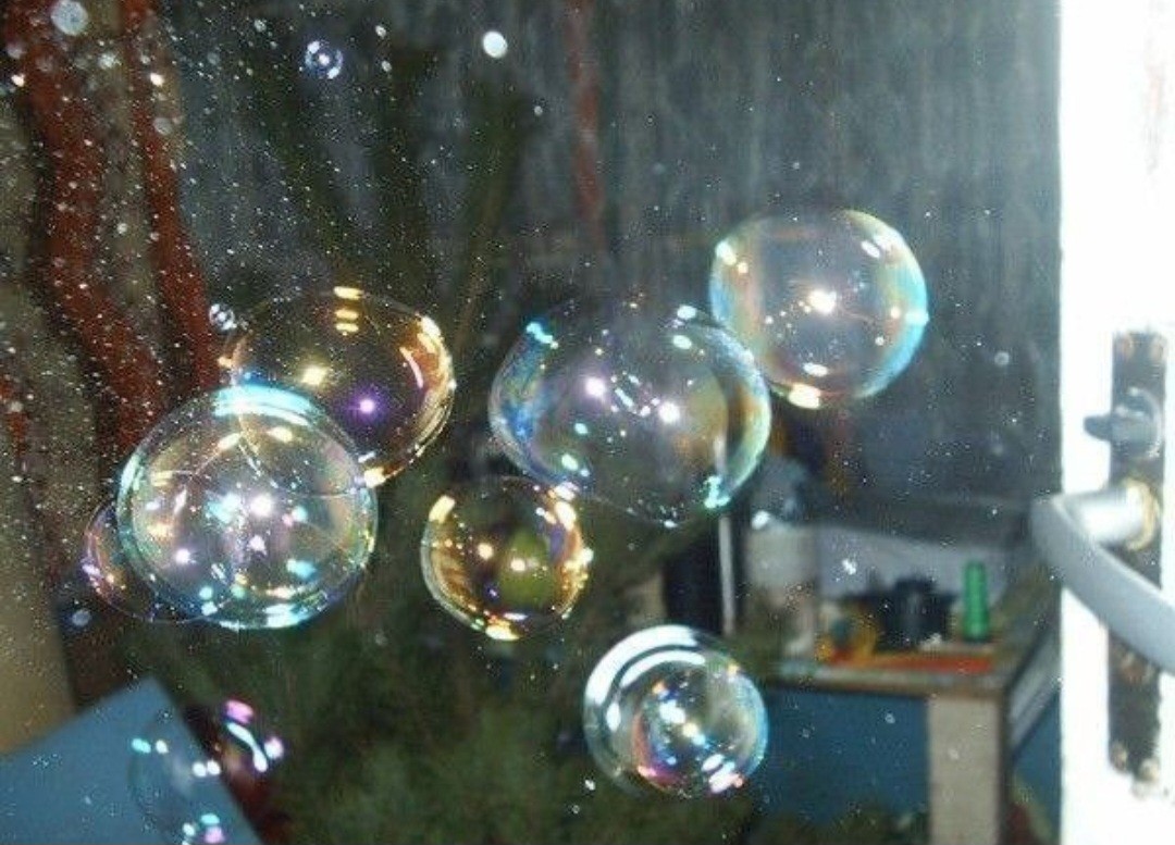 cuando te amé, fuí brevemente magia