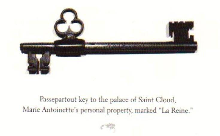 shena ⸻꯭㘤㈱ cover img