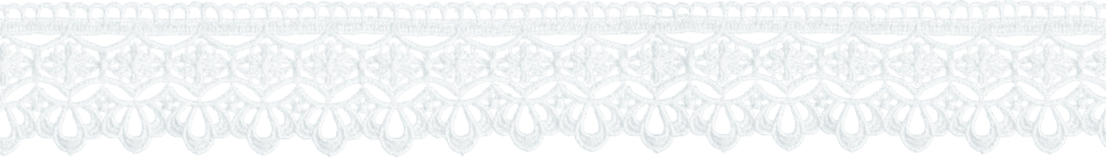 leonis cover img