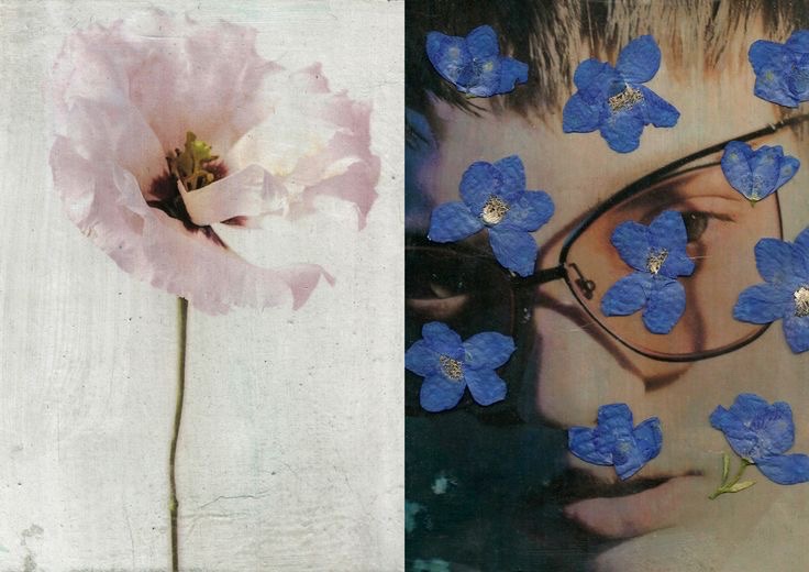 plantastes orquideas en mi pecho y las dejaste morir
