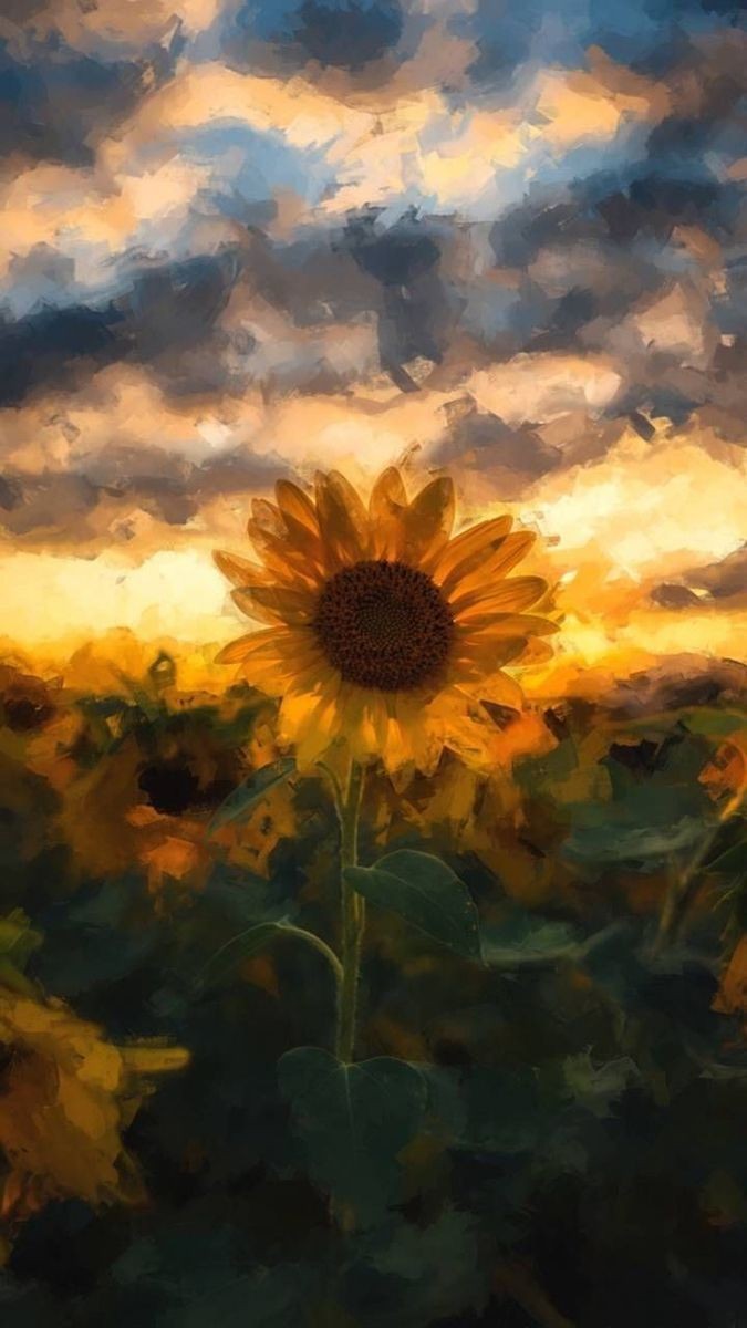 Se una flor, solo si puedes