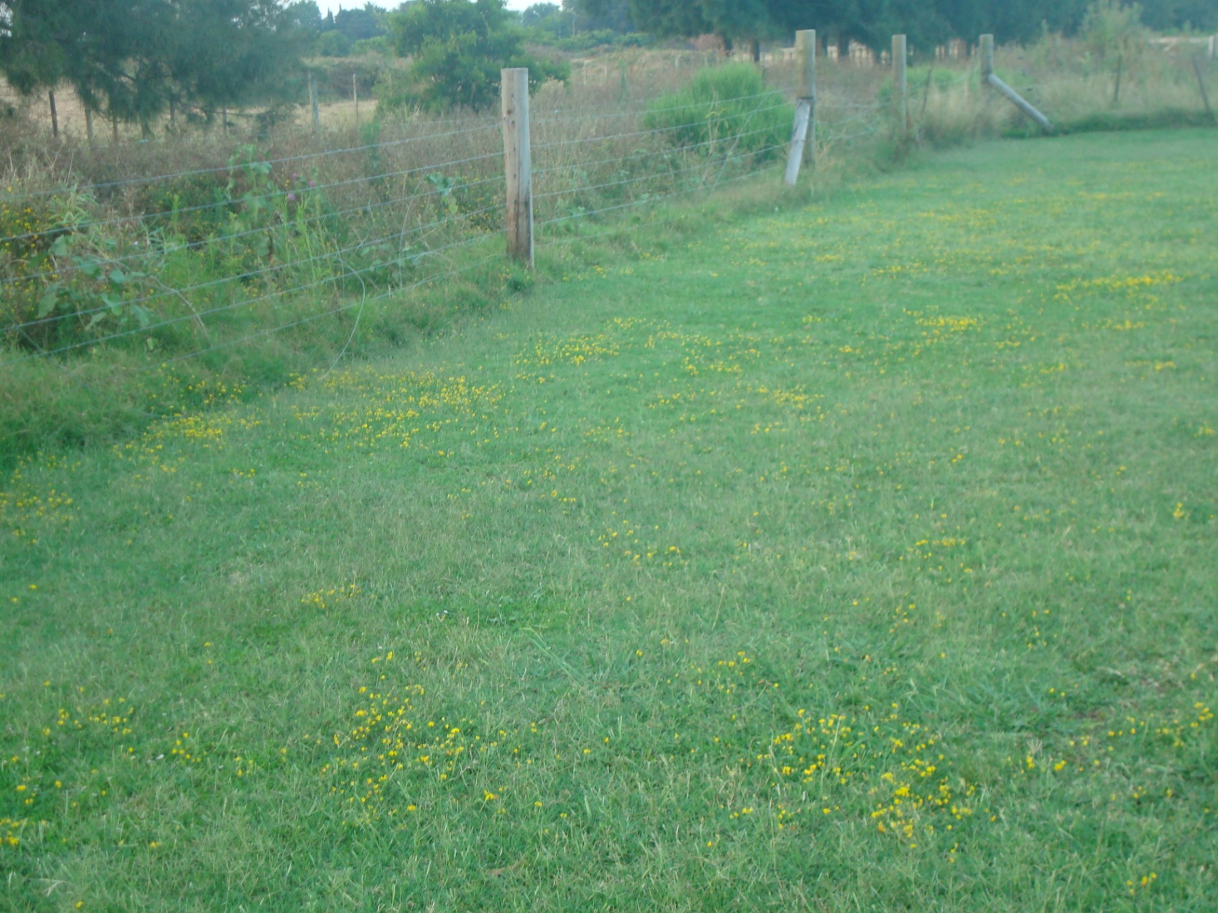 Cuando se está lejos de los amigos