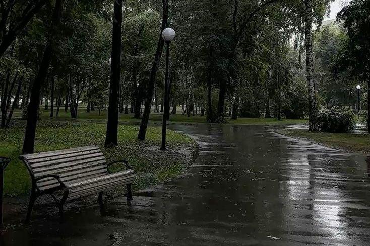 Hay mucho amor en toda mi tristeza.