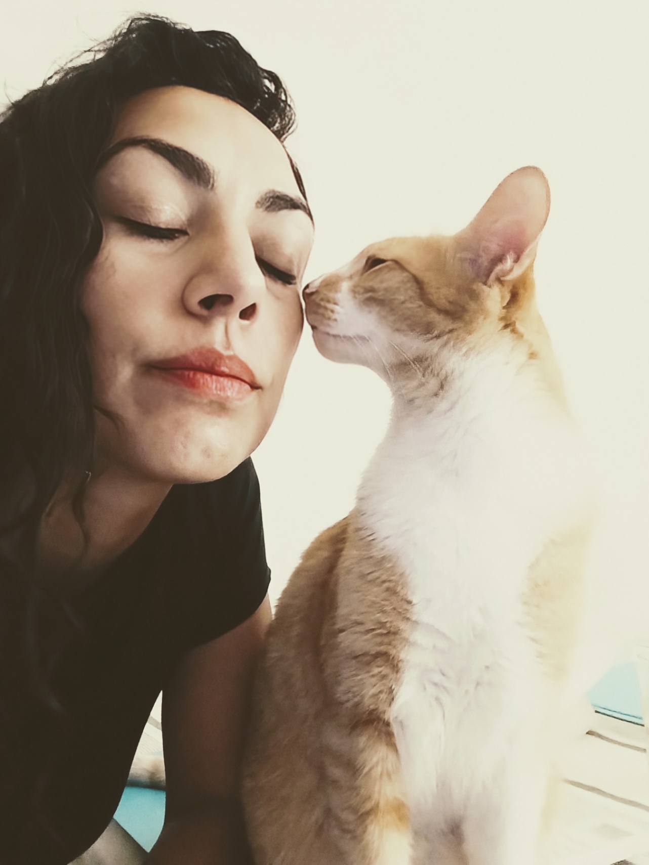 ¿Quien me dijo que no podía?I