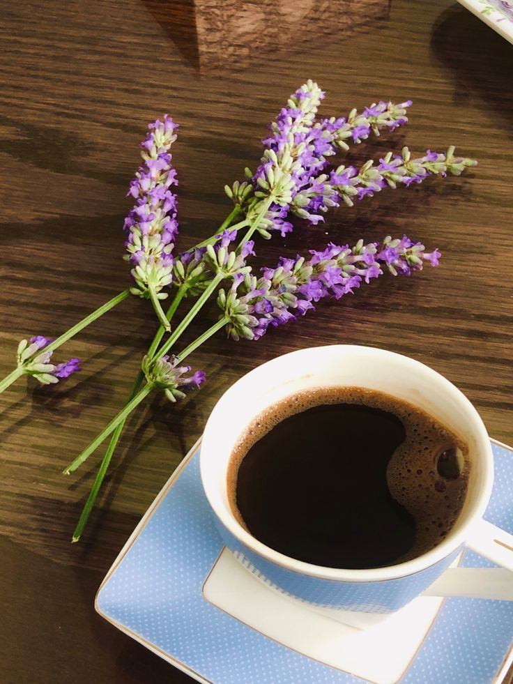 La vida en el aroma a lavanda y una taza de café